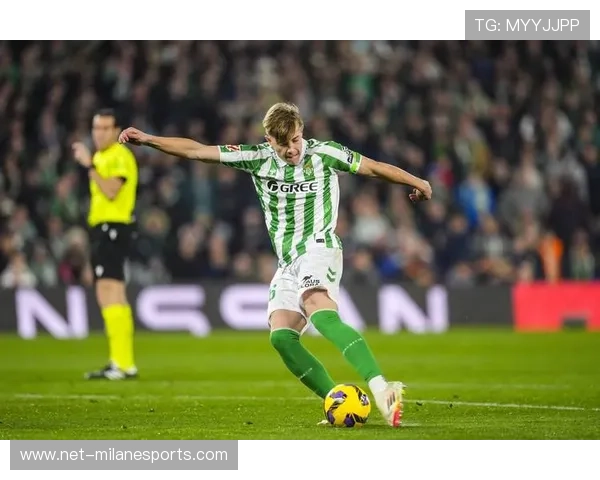 德国足球队有哪些顶级球星和潜力新星备受瞩目