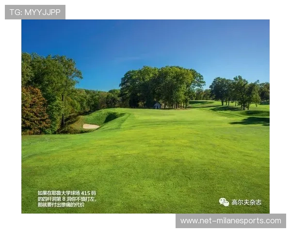 美国足球明星雷诺：从球场英雄到社会公益先锋的成长之路